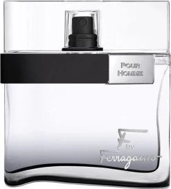 Salvatore Ferragamo F Black Pour Homme - Eau De Toilette Spray - 100 Ml -Parfum Promotiewinkel 1084x1200