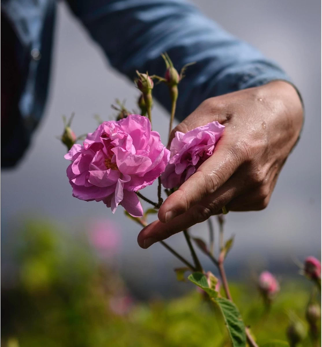 Miss Dior Absolutely Blooming 50 Ml - Eau De Parfum - Damesparfum 15 Miss Dior Absolutely Blooming 50 Ml - Eau De Parfum - Damesparfum - Afbeelding 15