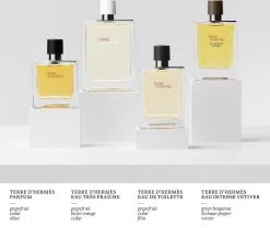 Hermès Terre D'Hermès 50ml - Eau De Toilette - Herenparfum -Parfum Promotiewinkel 1200x1014