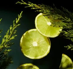 RITUALS Life Is A Journey - Homme Car Perfume - 6 Ml -Parfum Promotiewinkel 1200x1136 4