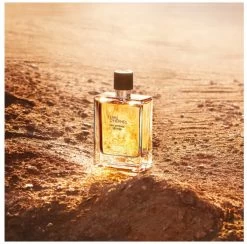 Hermes - Terre D´Hermes Eau Intense Vetiver - Eau De Parfum - 50ML -Parfum Promotiewinkel 1200x1186