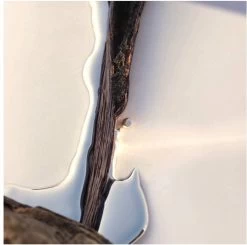 Hugo Boss Alive 80 Ml - Eau De Parfum - Damesparfum 11 Hugo Boss Alive 80 Ml - Eau De Parfum - Damesparfum -Parfum Promotiewinkel 1200x1188 2