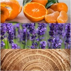 Calvin Klein Obsession 125 Ml - Eau De Toilette - Herenparfum -Parfum Promotiewinkel 1200x1194 1