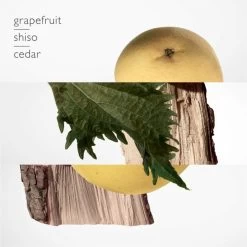 Hermès Terre D'Hermès 75 Ml - Eau De Parfum - Herenparfum -Parfum Promotiewinkel 1200x1200 103