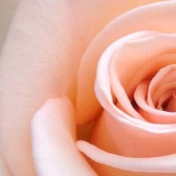 Spider-Man Eau De Toilette Spray - 100 Ml - Parfum Voor Kinderen -Parfum Promotiewinkel 1200x1200 231