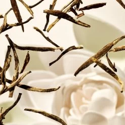 RITUALS Life Is A Journey - Karma Car Perfume - 6 G -Parfum Promotiewinkel 1200x1200 250