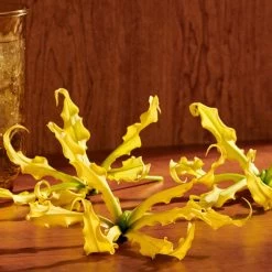 Gucci Guilty Pour Femme Eau De Parfum Intense 12 Gucci Guilty Pour Femme Eau De Parfum Intense -Parfum Promotiewinkel 1200x1200 47