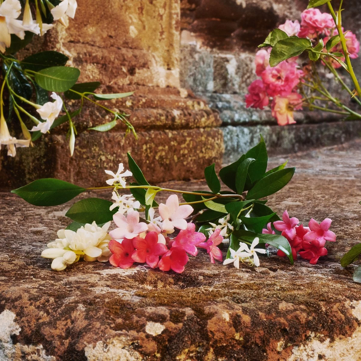 Gucci Bloom - 100 Ml - Eau De Toilette Spray - Damesparfum 8 Gucci Bloom - 100 Ml - Eau De Toilette Spray - Damesparfum - Afbeelding 8