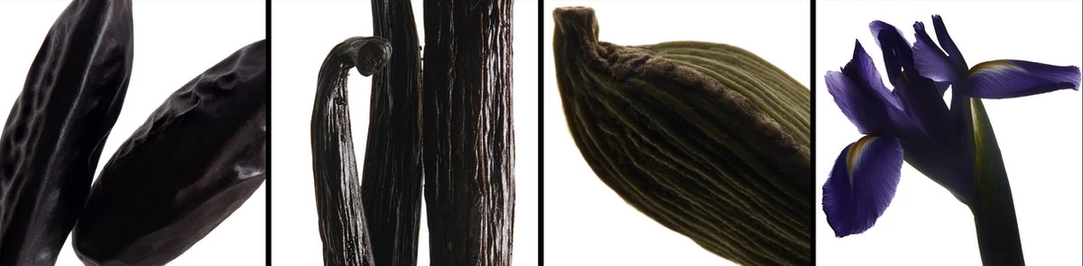 Yves Saint Laurent La Nuit De L'Homme 100 Ml - Eau De Toilette - Herenparfum 5 Yves Saint Laurent La Nuit De L'Homme 100 Ml - Eau De Toilette - Herenparfum - Afbeelding 5