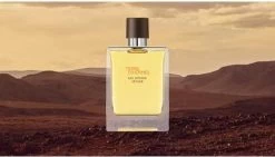 Hermes - Terre D´Hermes Eau Intense Vetiver - Eau De Parfum - 50ML -Parfum Promotiewinkel 1200x686