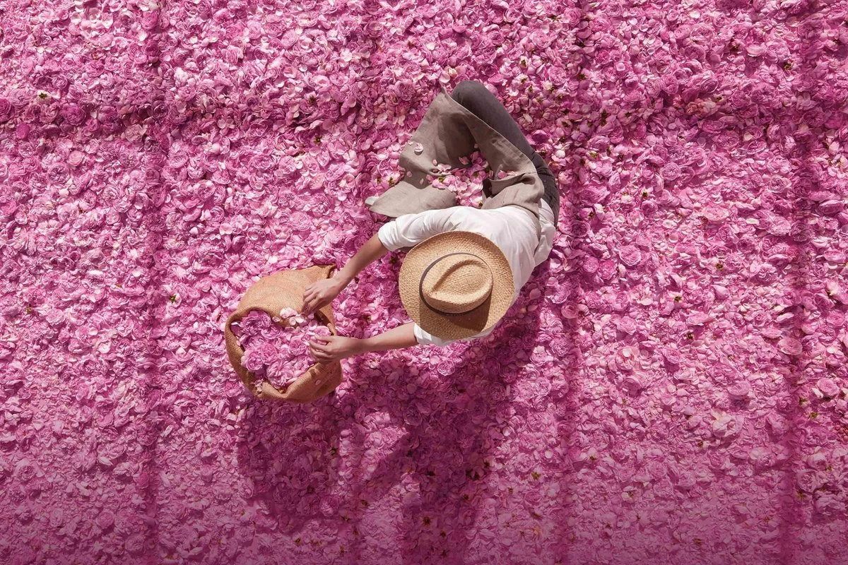 Miss Dior Absolutely Blooming 50 Ml - Eau De Parfum - Damesparfum 14 Miss Dior Absolutely Blooming 50 Ml - Eau De Parfum - Damesparfum - Afbeelding 14