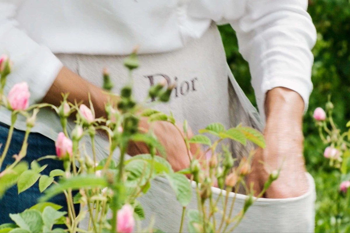 Miss Dior Absolutely Blooming 50 Ml - Eau De Parfum - Damesparfum 16 Miss Dior Absolutely Blooming 50 Ml - Eau De Parfum - Damesparfum - Afbeelding 16