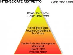 Montale Ristretto Intense Café Extrait De Parfum 100 Ml -Parfum Promotiewinkel 1200x898 3