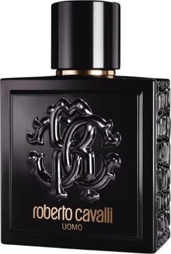 Roberto Cavalli Uomo Eau De Toilette Spray 100 Ml -Parfum Promotiewinkel 808x1200
